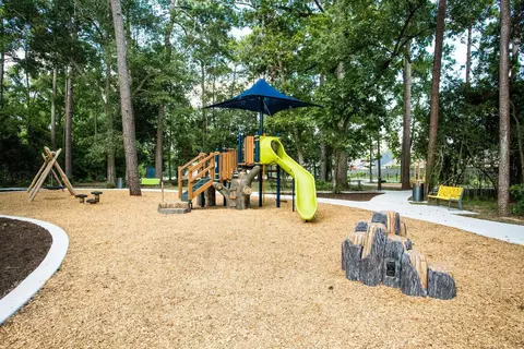 View/Area - 212 Silver Sage Ct, Conroe, TX 77304 photo 8 of 9