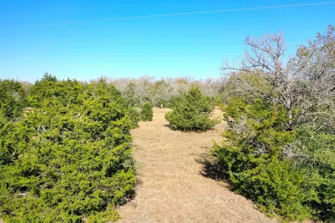 tbd Manning Ln, Madisonville, TX 77864