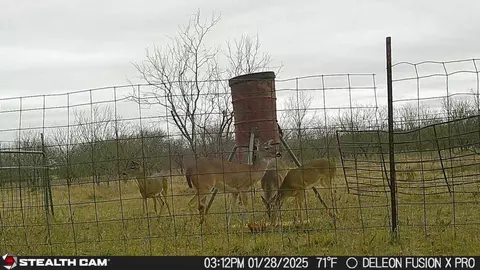 851 Cr 450, De Leon, TX 76444