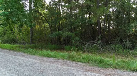 tbd Whiteside Dr, Onalaska, TX 77360 photo 9