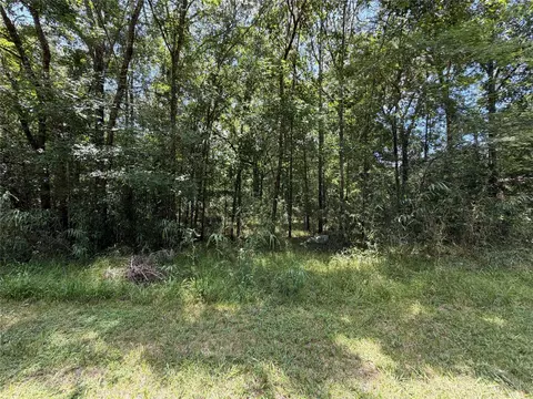 lot119 Miller Dr, Cleveland, TX 77327