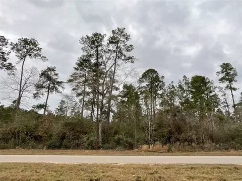 15877 Four Hills Rd, Willis, TX 77378