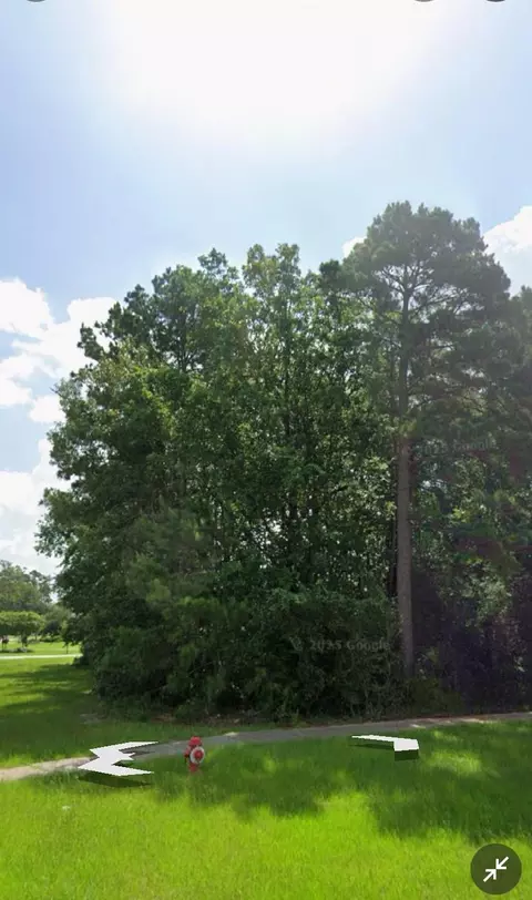 4502 Siandra Creek Ct, Spring, TX 77386