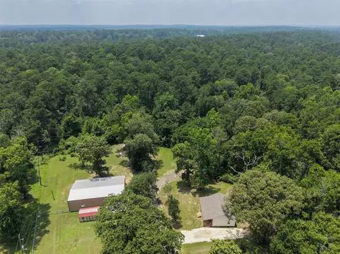 View/Area - 136 Ash St, Trinity, TX 75862 photo 8 of 10