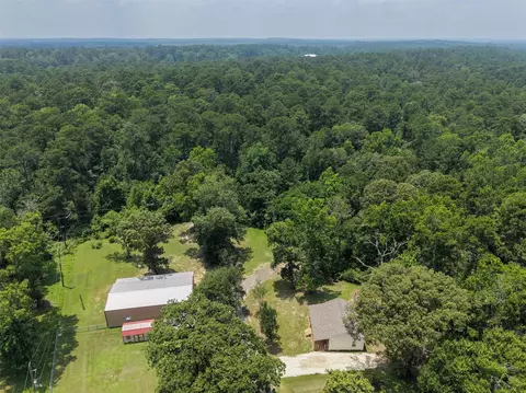 View/Area - 136 Ash St, Trinity, TX 75862 photo 3 of 10