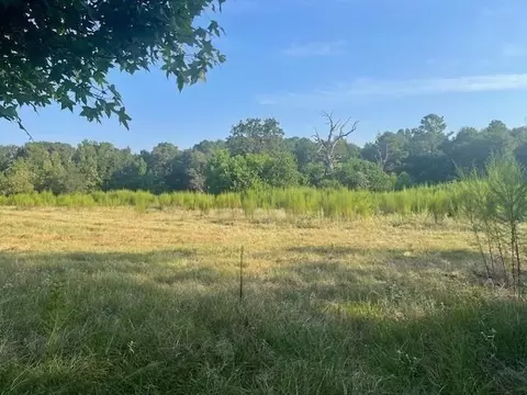 940 Bill Jones Rd, Groveton, TX 75845
