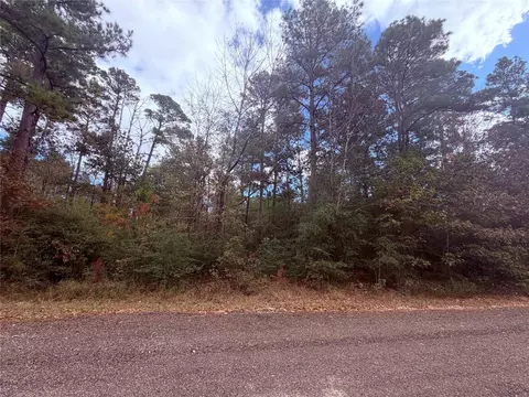 160 Nina Trl, Trinity, TX 75862