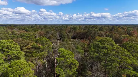 160 Nina Trl, Trinity, TX 75862 photo 3