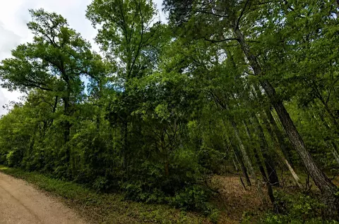 1 6 Legacy Grand Rd # -7, New Waverly, TX 77358