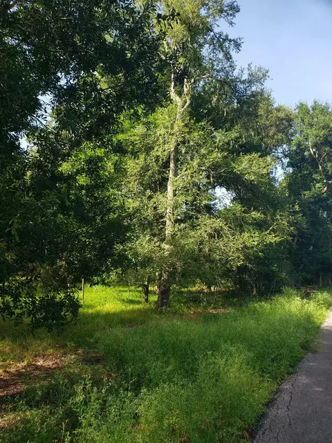 20921 Levee Road Rd, Guy, TX 77444