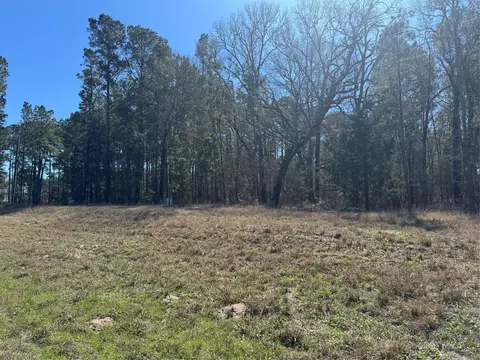 tbd Us 190, Point Blank, TX 77364