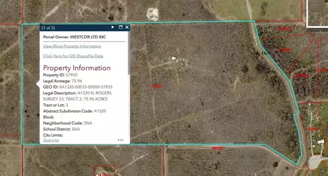 View/Area - 00 County Road 6753, Devine, TX 78016 photo 5 of 5