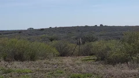 Other - 00 County Road 6753, Devine, TX 78016 photo 6 of 15