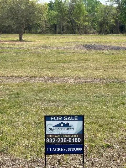 000 Saddle Dr, Pleak, TX 77461