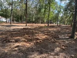 33014 Octavia Dr, Magnolia, TX 77354