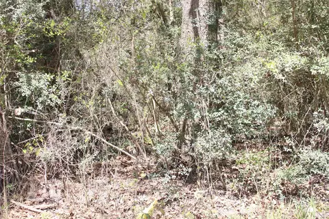 0 Knotty Pine Ln, Huntsville, TX 77340