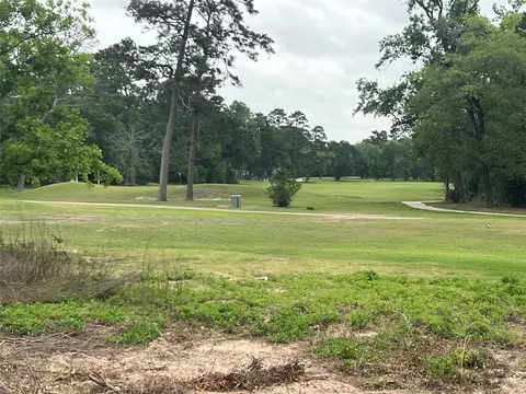 48 Robert E Lee Dr, Conroe, TX 77302 photo 2