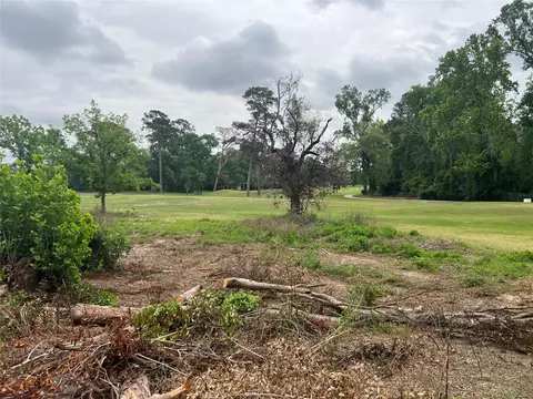48 Robert E Lee Dr, Conroe, TX 77302 photo 3