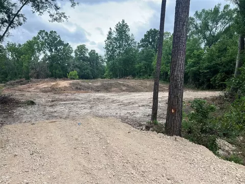 48 Robert E Lee Dr, Conroe, TX 77302 photo 8