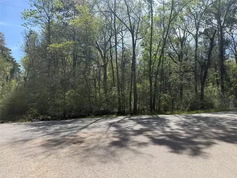 tbd Walker Dr, Conroe, TX 77303 photo 3