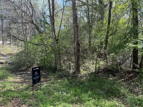 tbd Walker Dr, Conroe, TX 77303 photo 2