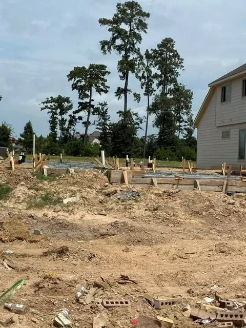 3203 Raintree Crescent Trl, Spring, TX 77386 photo 5