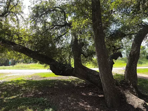 Other - 20527 Lake Forest Dr E, Guy, TX 77444 photo 2 of 4