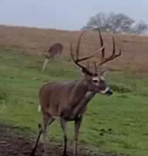 3713 Cr 386, Marquez, TX 77865