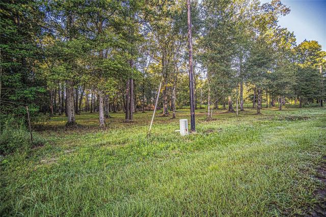 1319 County Road 3434 S, Cleveland, TX 77327