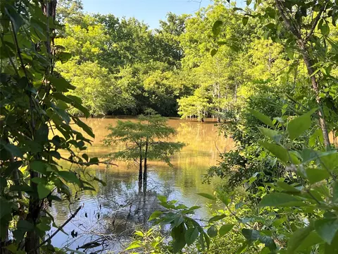 View/Area - 0 Cravens Camp Rd, Silsbee, TX 77656 photo 6 of 7