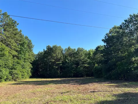 Other - 0 Cravens Camp Rd, Silsbee, TX 77656 photo 3 of 14