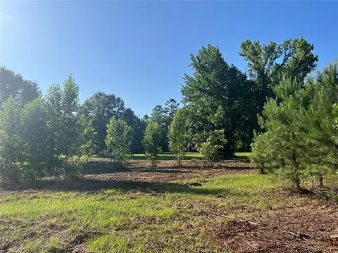 Other - 0 Cravens Camp Rd, Silsbee, TX 77656 photo 12 of 14