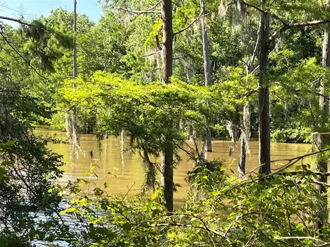 View/Area - 0 Cravens Camp Rd, Silsbee, TX 77656 photo 4 of 7