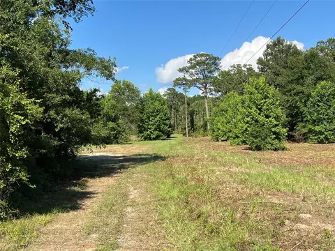 Other - 0 Cravens Camp Rd, Silsbee, TX 77656 photo 14 of 14