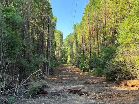 Other - 0 Cravens Camp Rd, Silsbee, TX 77656 photo 11 of 14