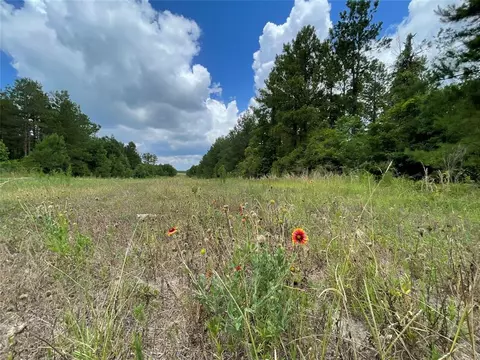 2853 Kickapoo Rd, Groveton, TX 75845 photo 1