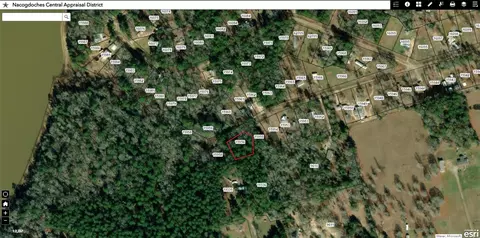 000 Blue Ridge Dr, Etoile, TX 75944