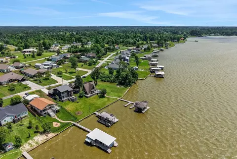 View/Area - 546 W Cattle Dr, Onalaska, TX 77360 photo 4 of 5