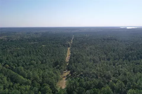 Tract 3 Trinity Lady Park Road W, Trinity, TX 75862