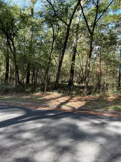 0 Mockingbird Ln, Trinity, TX 75862 photo 7