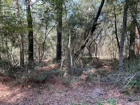 0 Mockingbird Ln, Trinity, TX 75862 photo 6