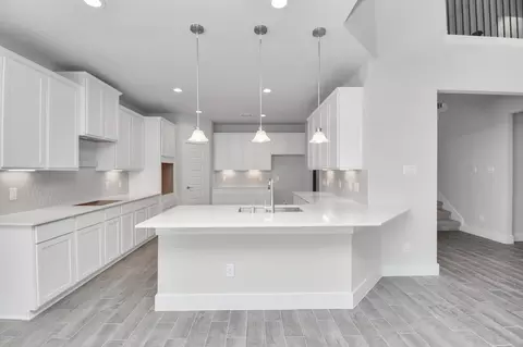 Kitchen - 3019 Knotty Forest Dr, Spring, TX 77373 photo 1 of 5