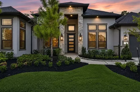 Exterior - 27720 Hazelbrook Ln, Spring, TX 77386 photo 5 of 6