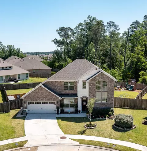 18202 Octavio Frias Trl, Houston, TX 77044