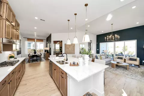 9510 Chateau Hl, Manvel, TX 77578