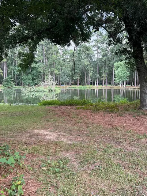 View/Area - 11 Holly Tree Ln, Spring, TX 77373 photo 1 of 3