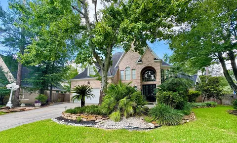 59 Acorn Cluster Ct, The Woodlands, TX 77381