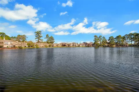 View/Area - 6119 Lofty Ln, Spring, TX 77379 photo 4 of 4
