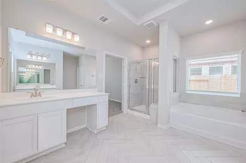 Bath - 1335 Austin Colony Dr, Angleton, TX 77515 photo 4 of 7