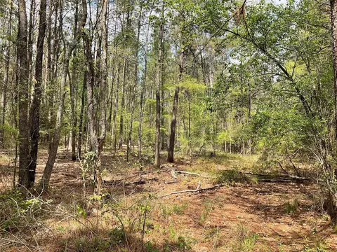 lot2 B 2c Fuller Springs Dr, Lufkin, TX 75901